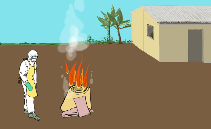 Picture6