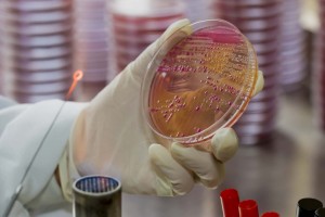 medicalwaste.org.ly-2016-293