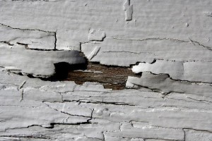 lead in painting