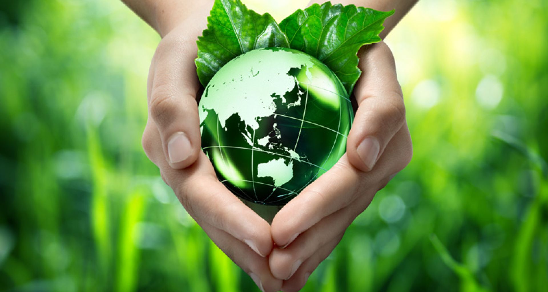 الإضطربات في النظم الإيكولوجية وعلاقتها بالميكروبات الممرضة 1 الإضطربات في النظم الإيكولوجية وعلاقتها بالميكروبات الممرضة