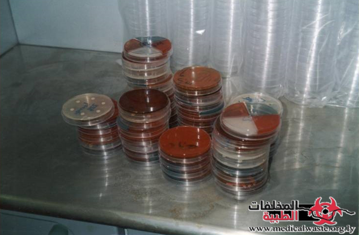 أطباق المزارع البكتيرية في معامل التحاليل الطبية بمدينة طرابلس- ليبيا.