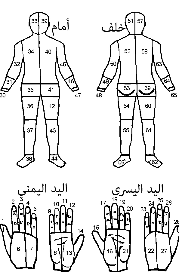دراسة عن حوادث وخز الإبر والمواد الحادة في طلاب كلية الطب البشري بمدينة غريان- ليبيا. للباحثة نجاة العابد. 10 دراسة عن حوادث وخز الإبر والمواد الحادة في طلاب كلية الطب البشري بمدينة غريان- ليبيا. للباحثة نجاة العابد.