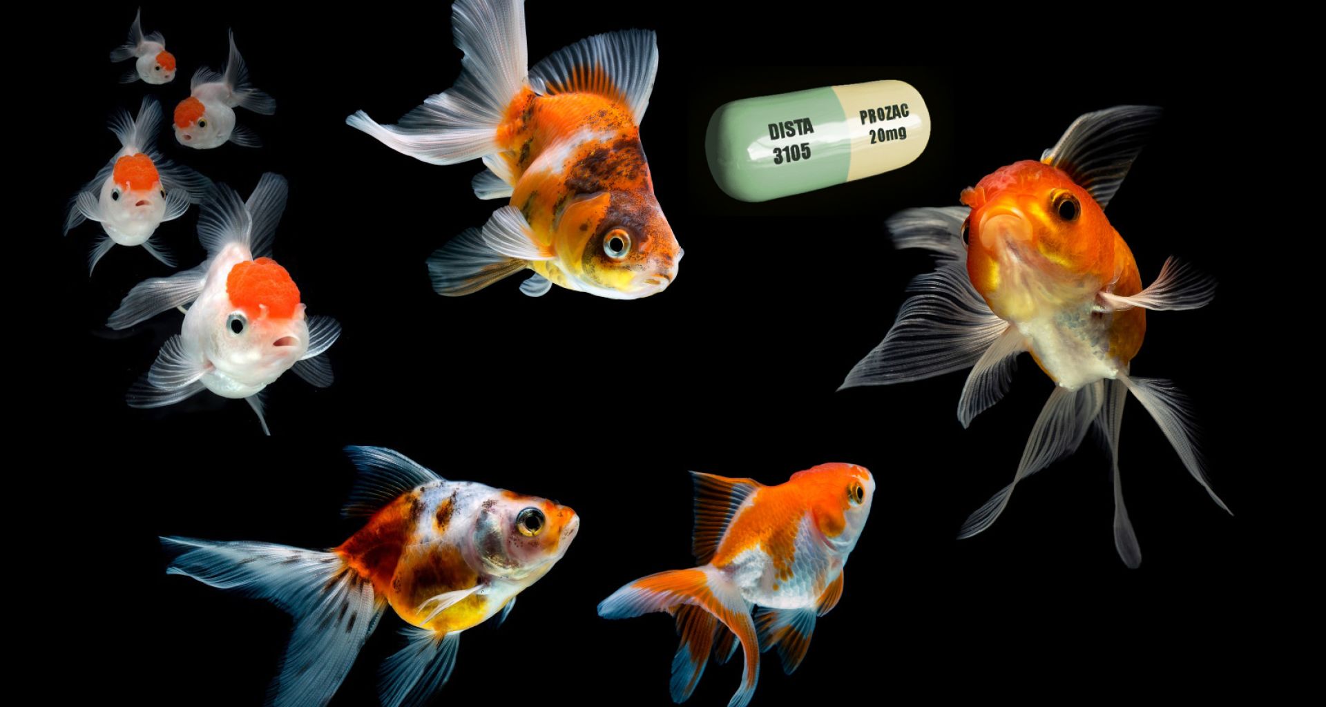 أدوية مضادة للاِكتئاب في مياهنا 1 أدوية مضادة للاِكتئاب في مياهنا