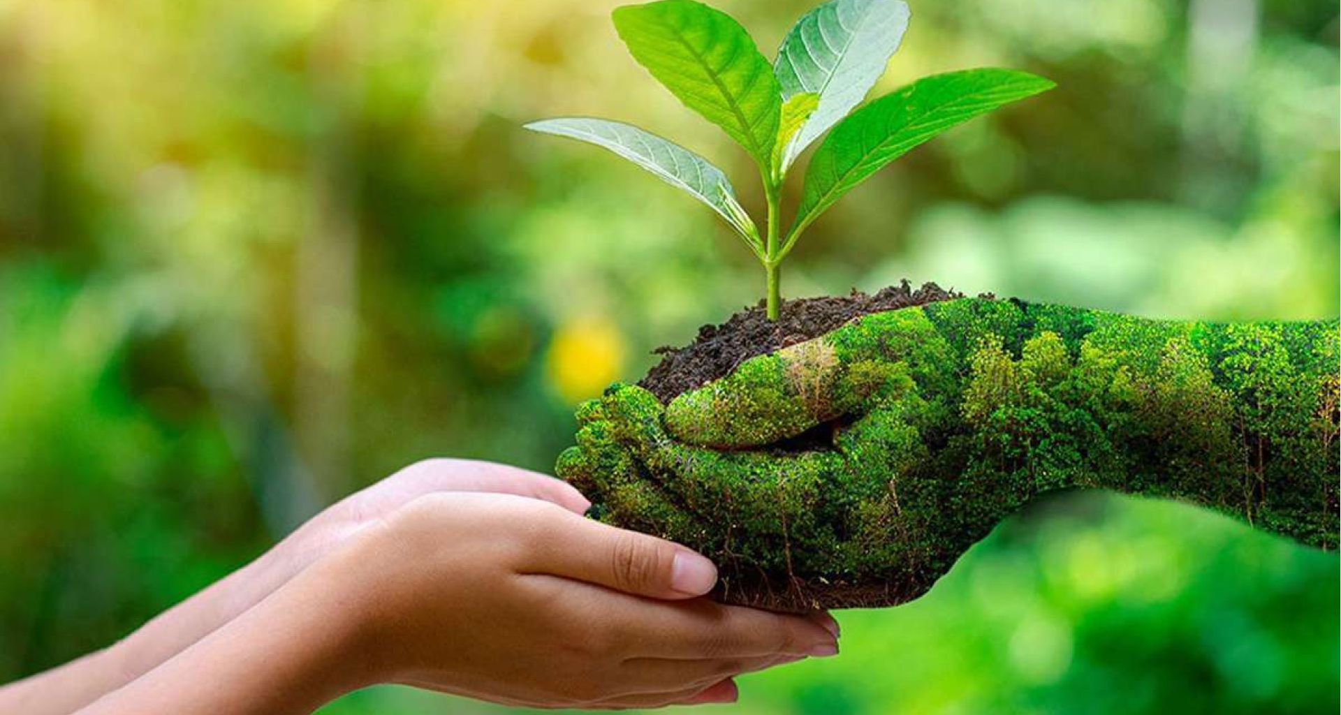 أشهر المنظمات العالمية التي أشتغلت في مجال إدارة النفايات 1 أشهر المنظمات العالمية التي أشتغلت في مجال إدارة النفايات