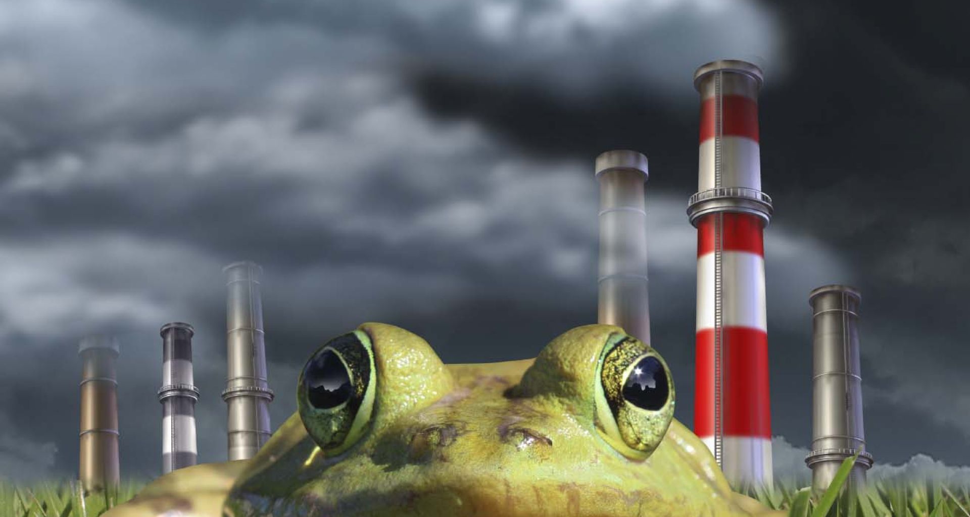 المحارق وطرق معالجة المخلفات الطبية 1 المحارق وطرق معالجة المخلفات الطبية