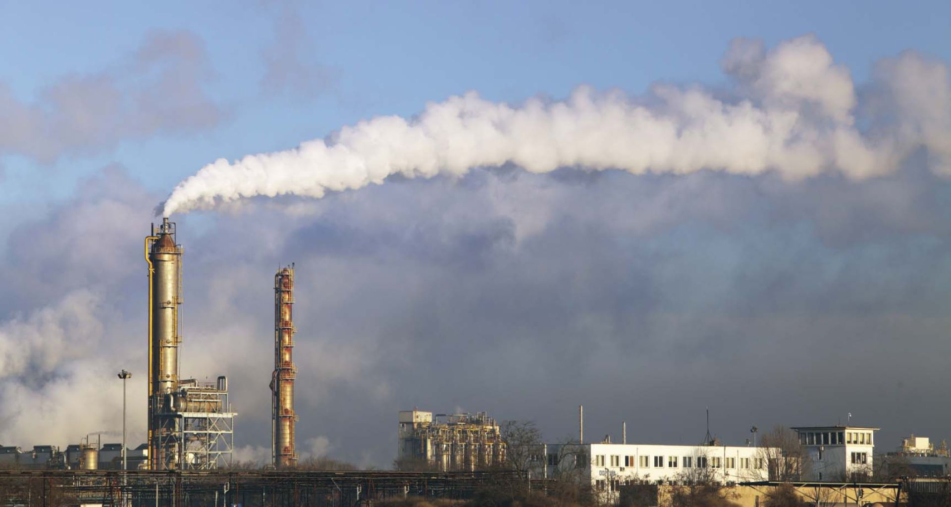 دراسات وأبحاث علمية تربط الأضرار الصحية بالمحارق 1 دراسات وأبحاث علمية تربط الأضرار الصحية بالمحارق