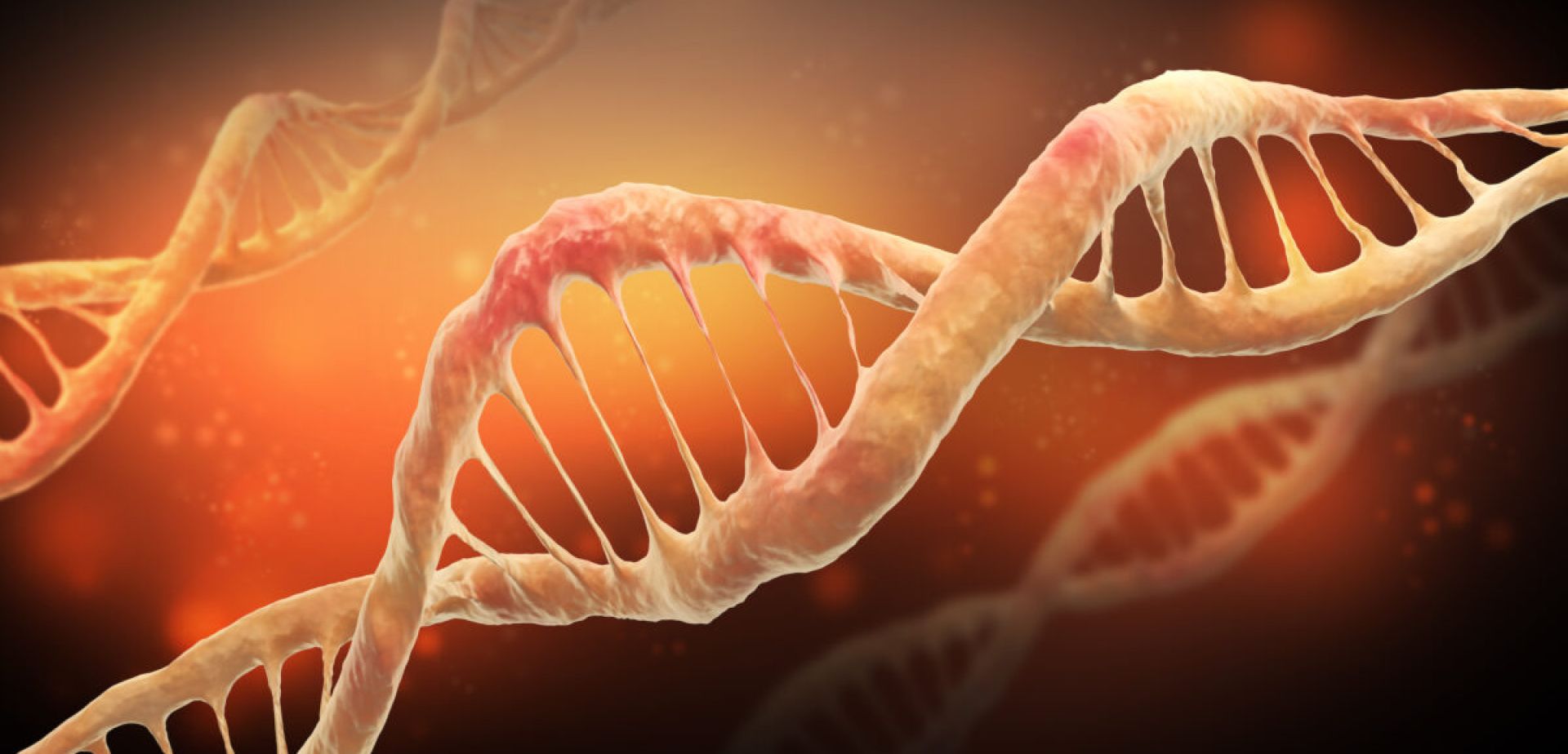 الرئيسية 42 المخاطر من النفايات السامة للجينات