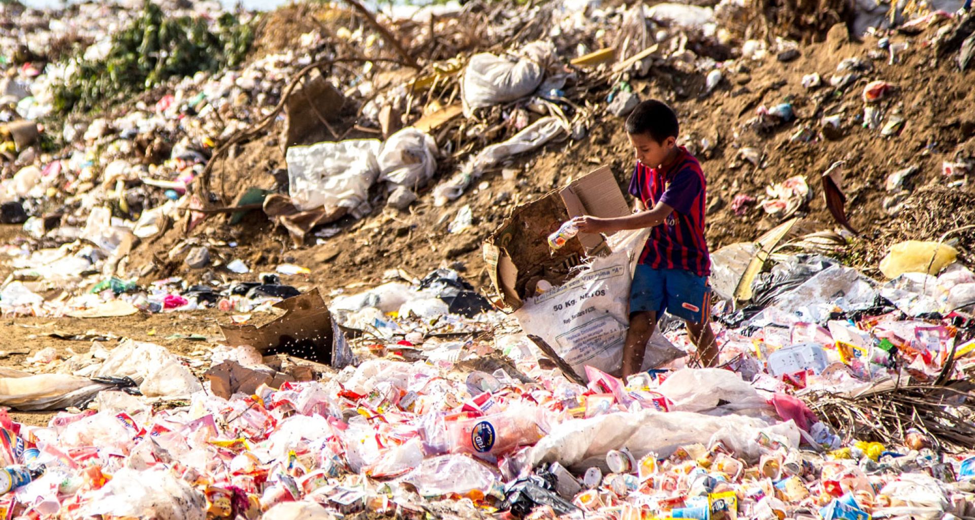 المخاطر الصحية المترافقة لمهنة نبش القمامة في الأطفال 1 المخاطر الصحية المترافقة لمهنة نبش القمامة في الأطفال