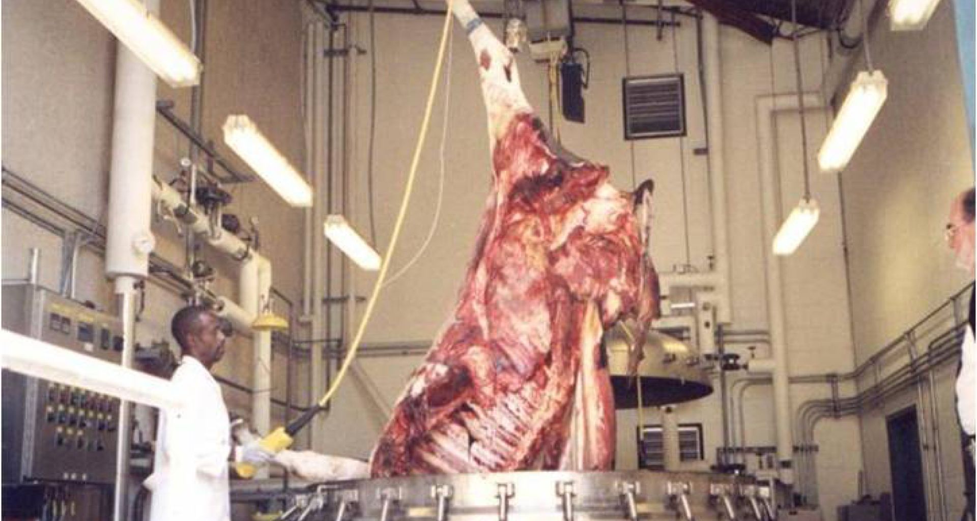 تقنيات التحلل (الهضم) القلوي للتخلص من النفايات الطبية الباثولوجية 1 تقنيات التحلل (الهضم) القلوي للتخلص من النفايات الطبية الباثولوجية