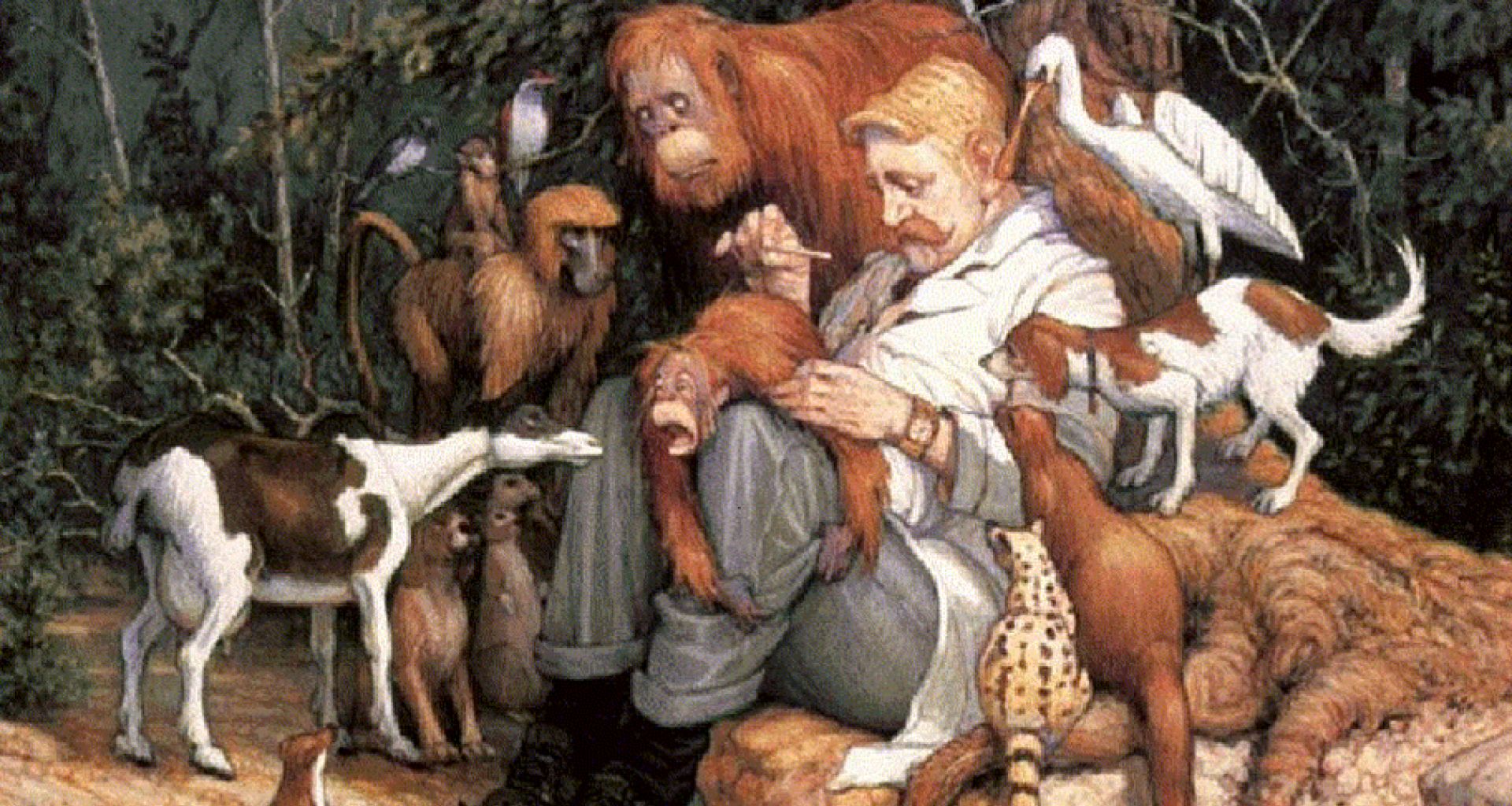 استضافة بموقع البيطرة العربية (arabvet.com) 6 استضافة بموقع البيطرة العربية (arabvet.com)