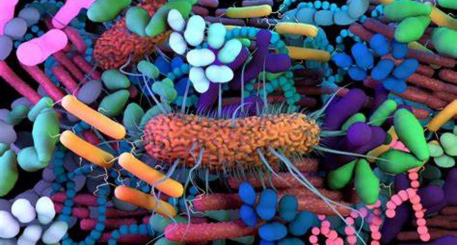 التخلص من النفايات الطبية في مراكز الحجامة أنها ليست مشكلة بيئية؟ 1 بقاء الكائنات الحية الدقيقة المسببة للأمراض في البيئة