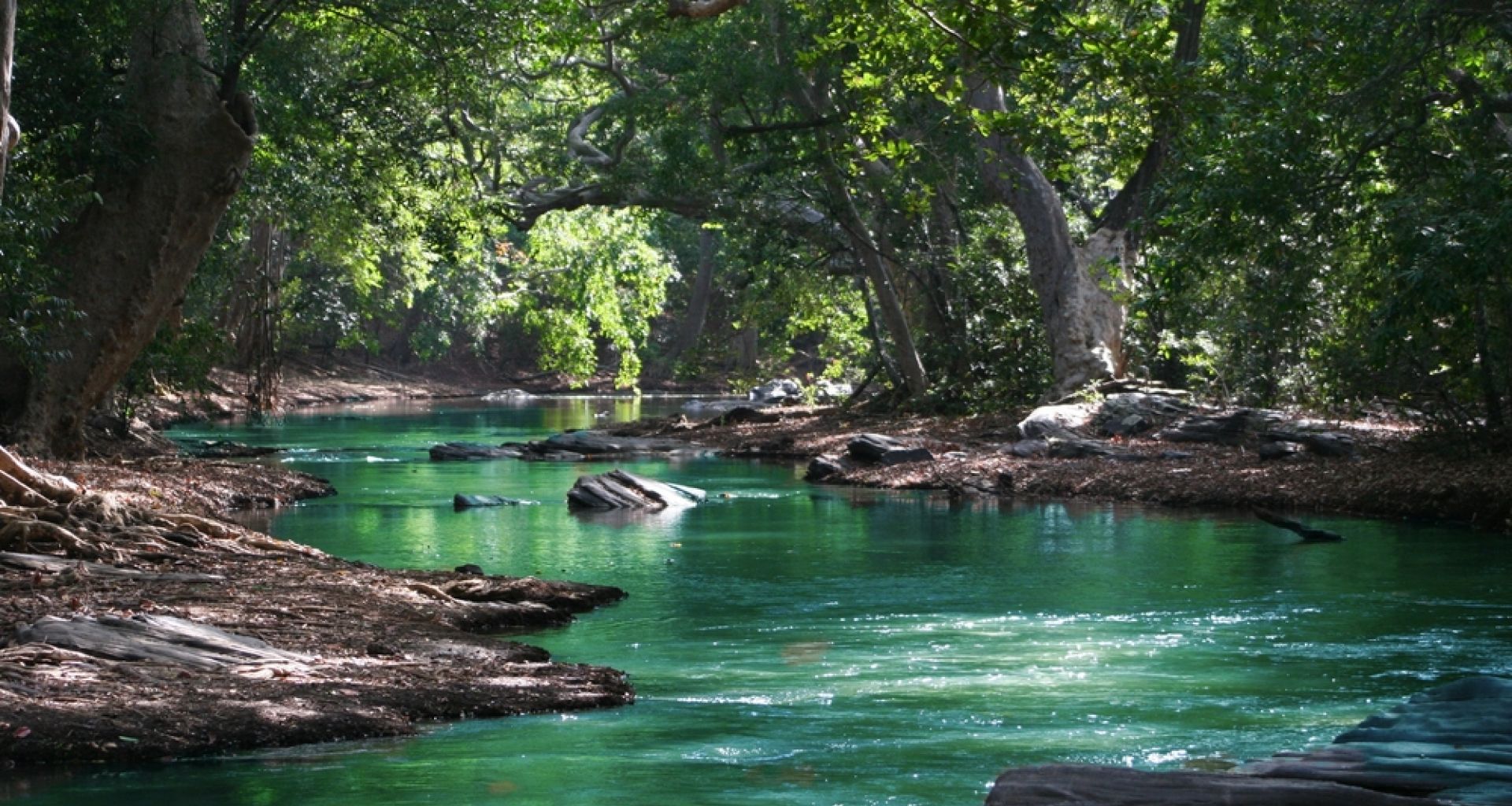 تلوث المياه السطحية بالمضادات الحيوية بسبب الصناعات الدوائية يساهم في خلق ميكروبات معدية أكثر خطورة 1 تلوث المياه السطحية بالمضادات الحيوية بسبب الصناعات الدوائية يساهم في خلق ميكروبات معدية أكثر خطورة