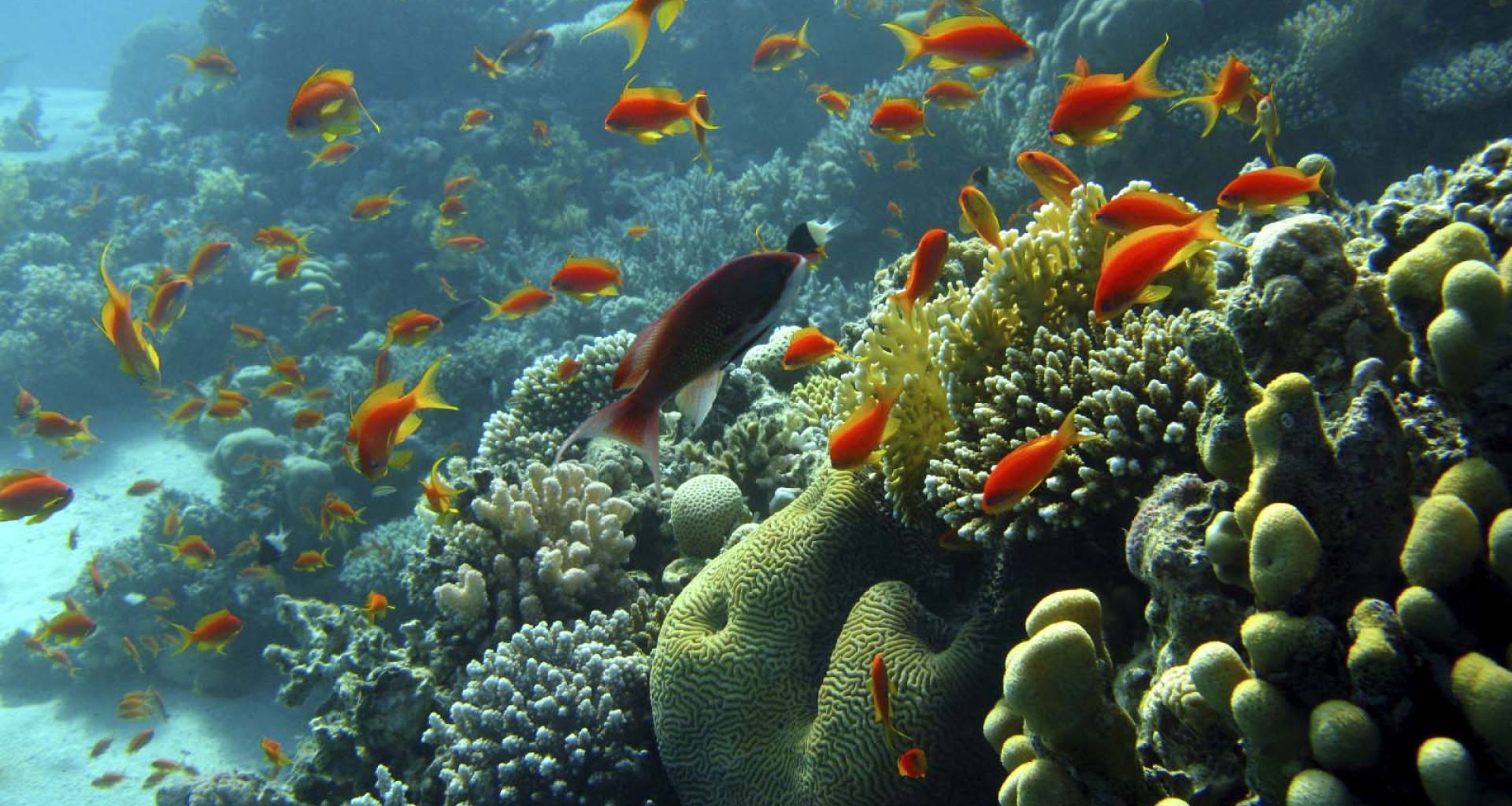 دراسة لرصد النفايات على الشواطيء العربية 1 دراسة لرصد النفايات على الشواطيء العربية