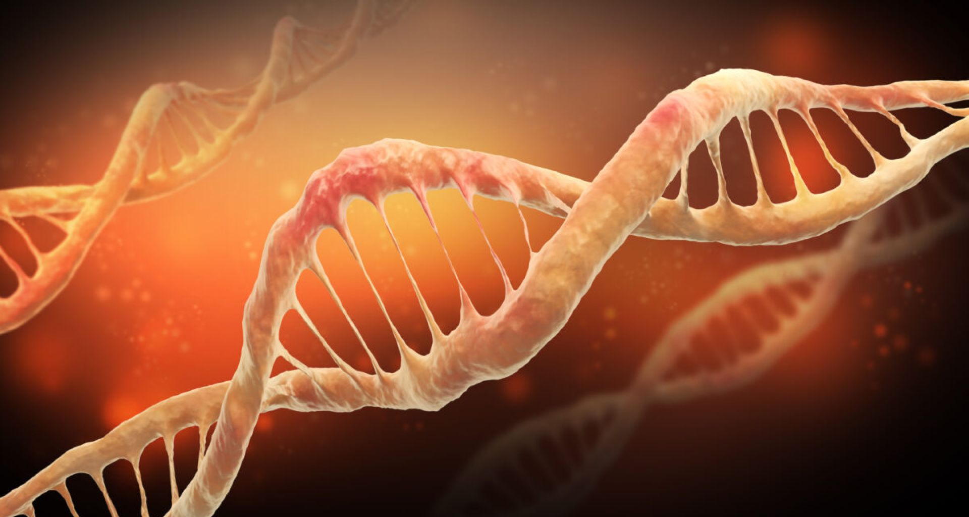 المخاطر من النفايات السامة للجينات 1 المخاطر من النفايات السامة للجينات