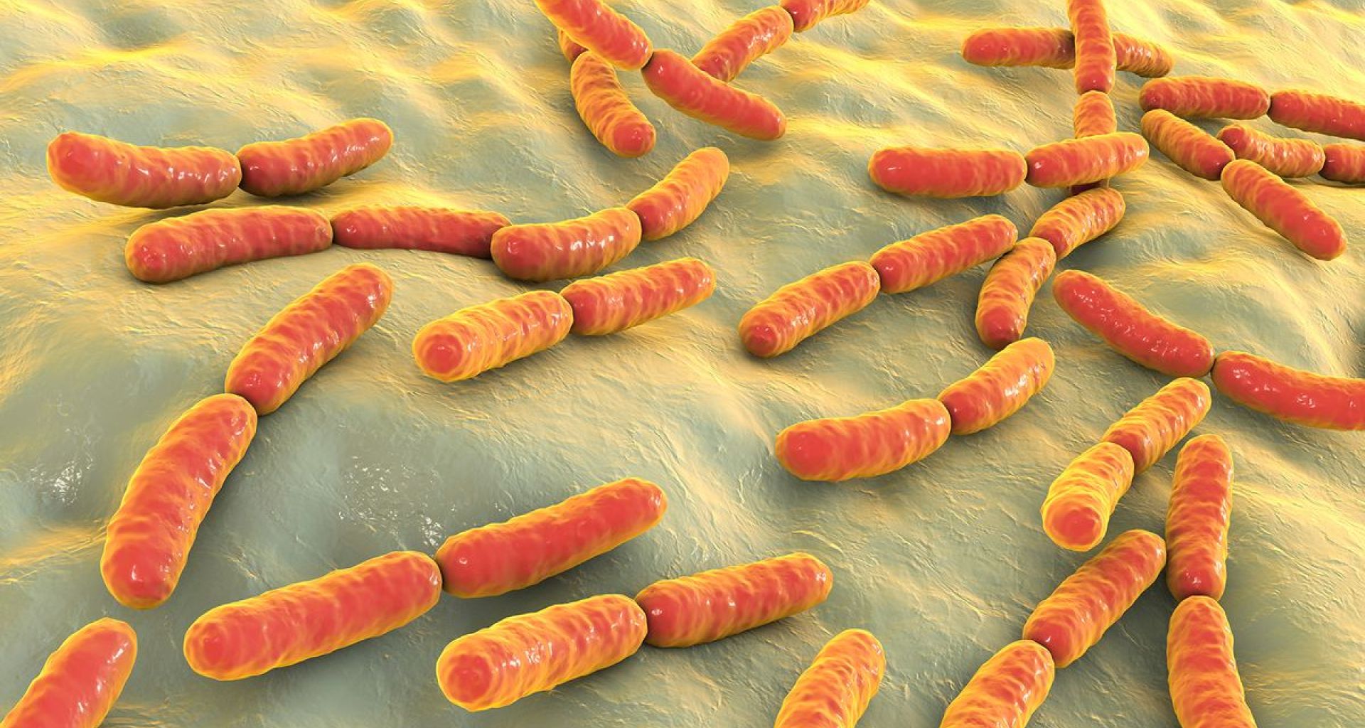 النفايات الطبية ومراكز علاج مرض السل (الدرن) 1 النفايات الطبية ومراكز علاج مرض السل (الدرن)