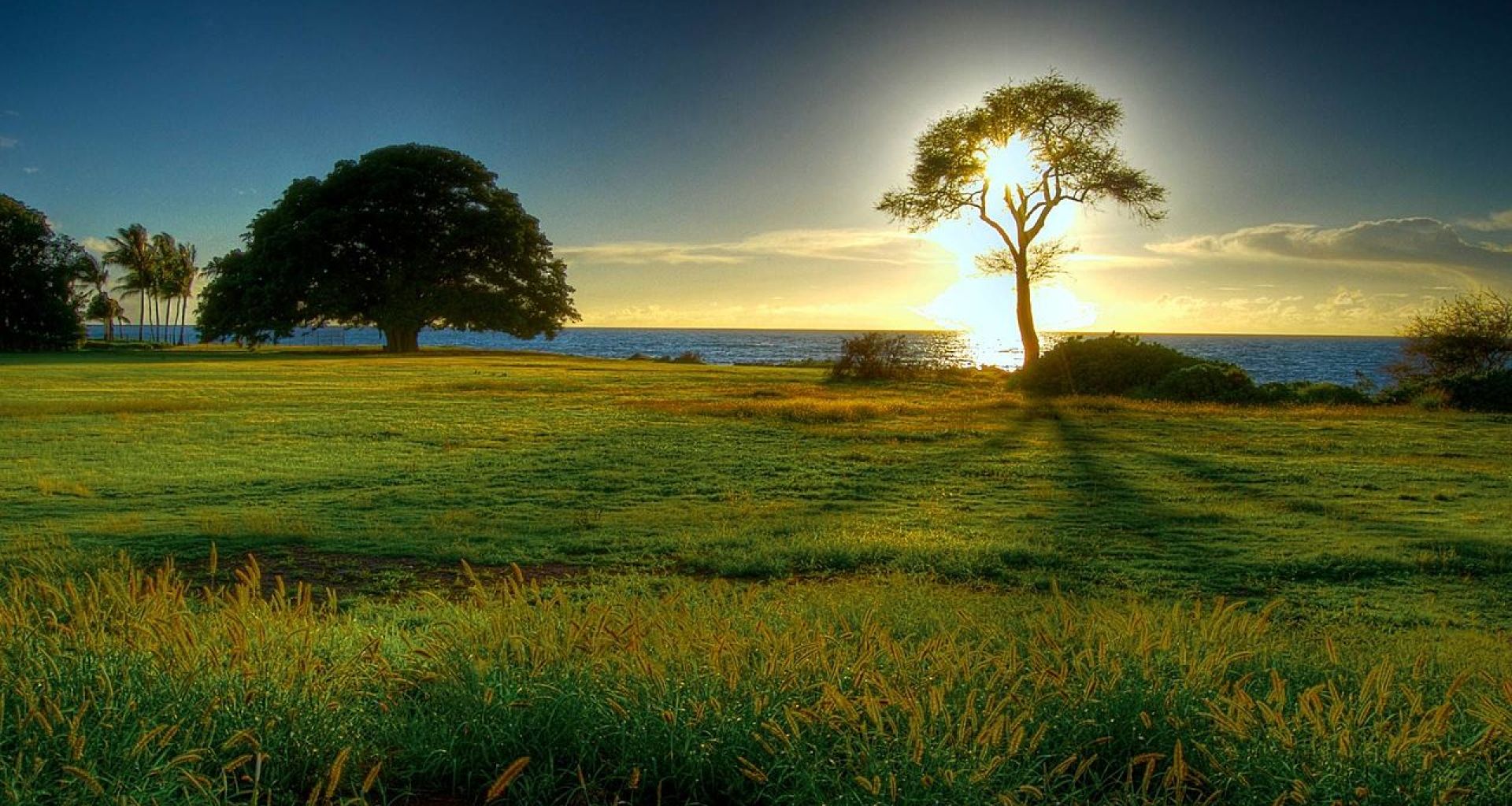 خمسة المبادىء الدولية التوجيهية في القوانين المتعلقة بالنفايات الخطرة 1 خمسة المبادىء الدولية التوجيهية في القوانين المتعلقة بالنفايات الخطرة