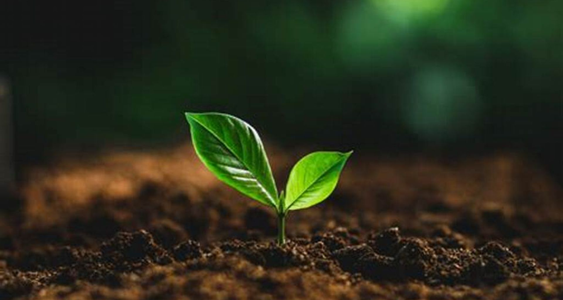 نظام "من المنتج إلى المستهلك" 1 نظام “من المنتج إلى المستهلك”