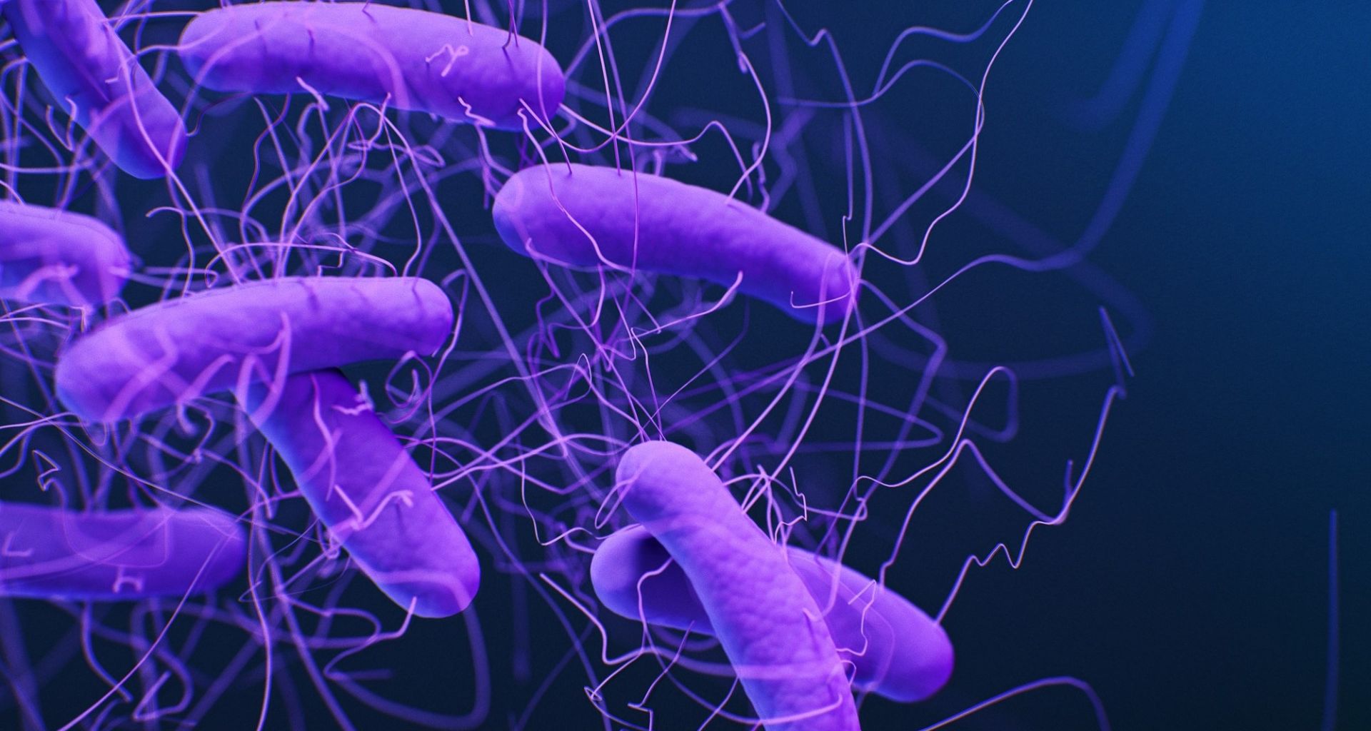وجود بكتيريا (Clostridioides difficile) في نفايات الرعاية الصحية 1 وجود بكتيريا (Clostridioides difficile) في نفايات الرعاية الصحية