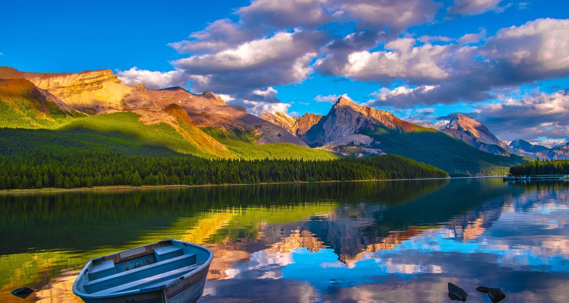 ماهي الملوثات العضوية الثابتة؟ 1 ماهي الملوثات العضوية الثابتة؟