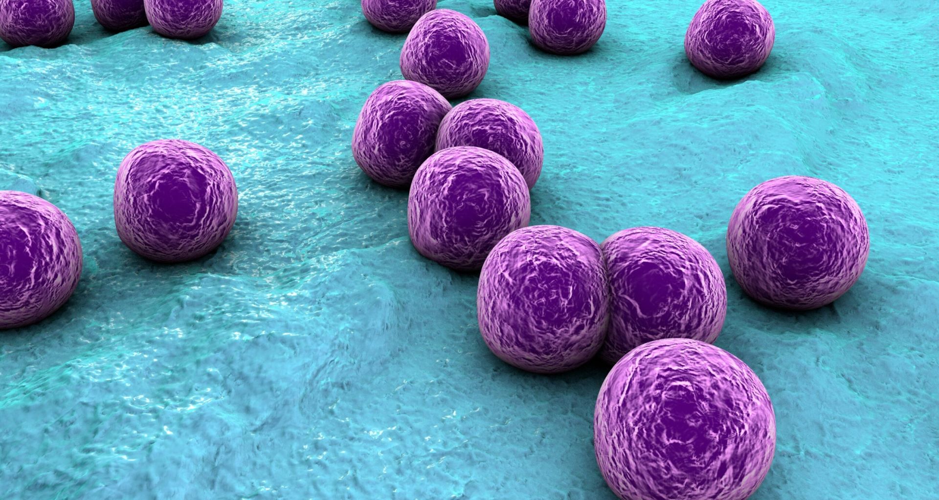 مخاطر وجود بكتيريا التهابات الجلد (Staphylococcus aureus) في نفايات الرعاية الصحية 1 مخاطر وجود بكتيريا التهابات الجلد (Staphylococcus aureus) في نفايات الرعاية الصحية