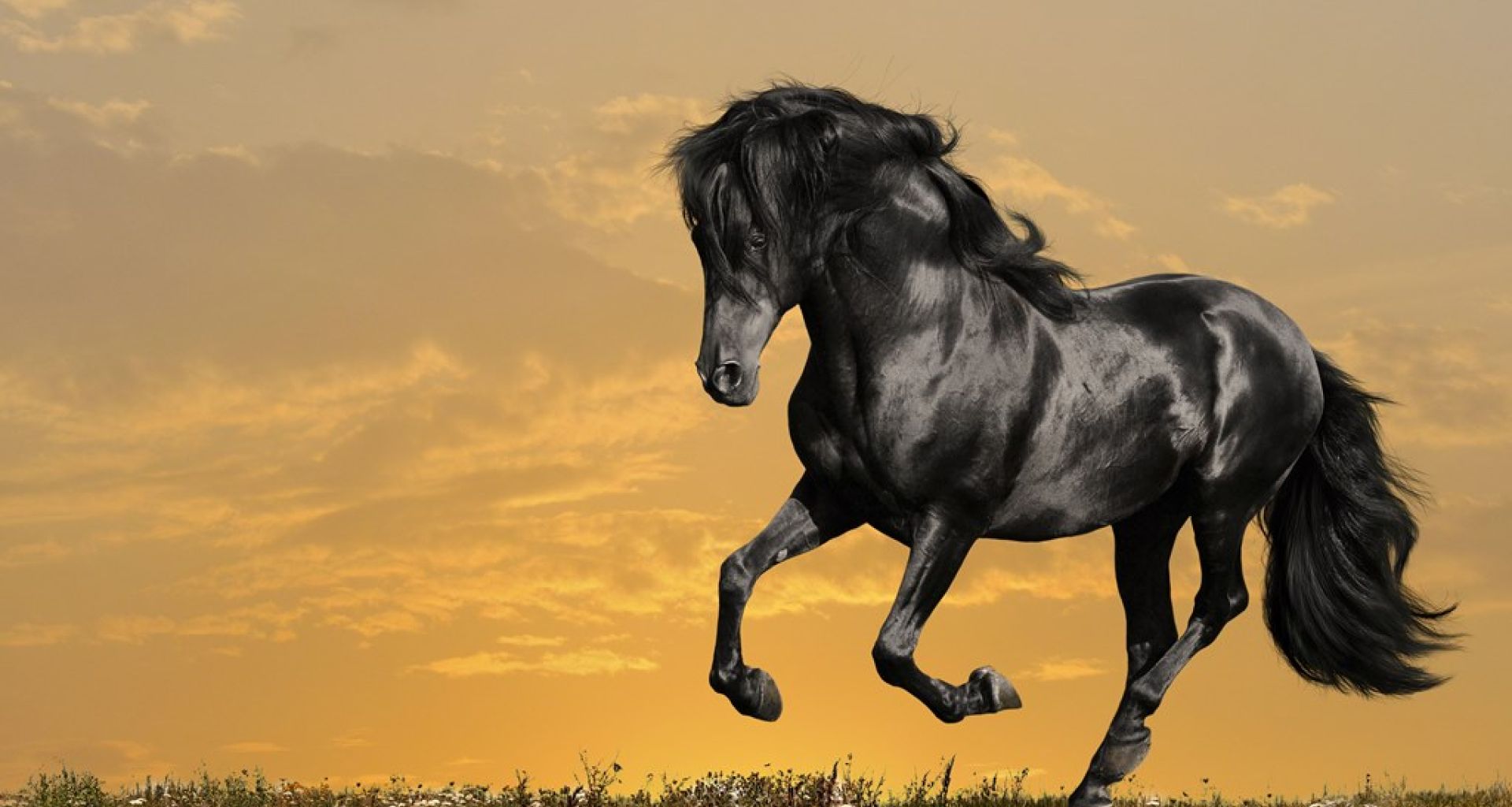 فيروس جديري الحصان الاصطناعي: هل أصبحنا قادرين على تصنيع الفيروسات؟ 1 فيروس جديري الحصان الاصطناعي: هل أصبحنا قادرين على تصنيع الفيروسات؟