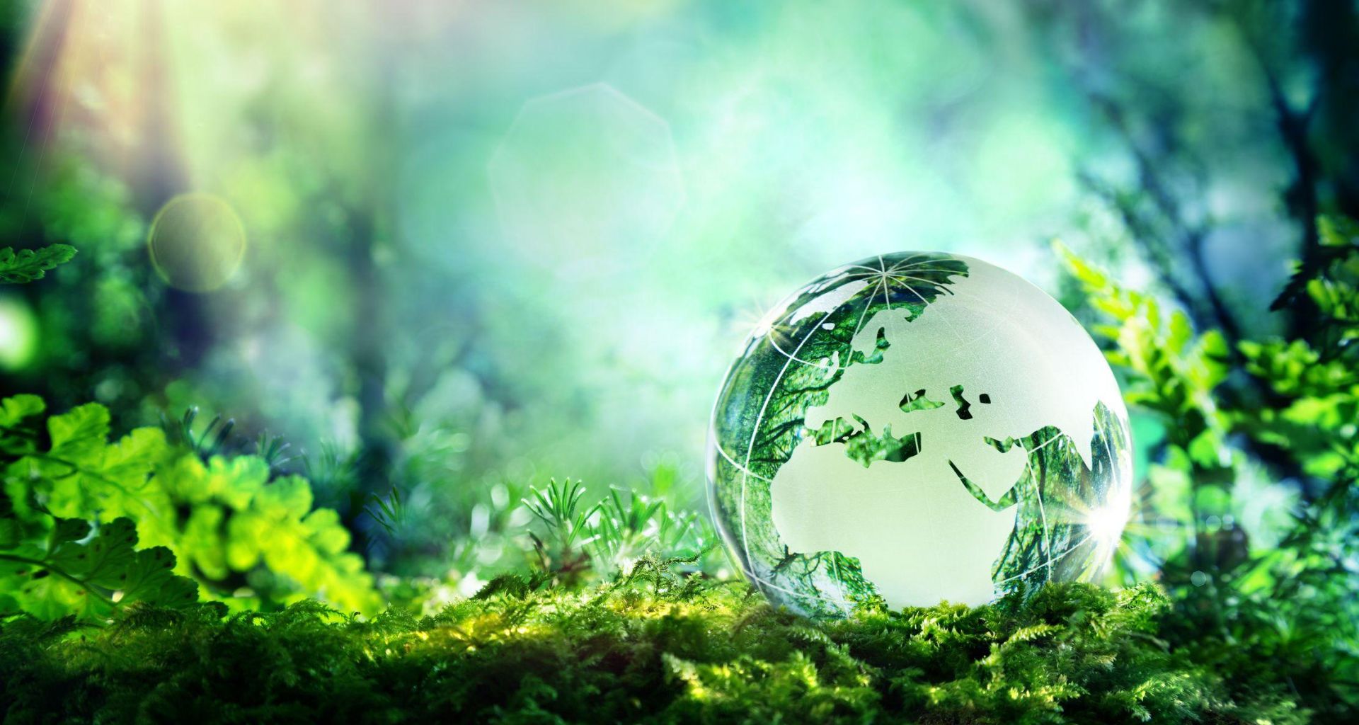 أهم مزايا المكبات الصحية الهندسية (Engineered Sanitary Landfills) 1 أهم مزايا المكبات الصحية الهندسية (Engineered Sanitary Landfills)