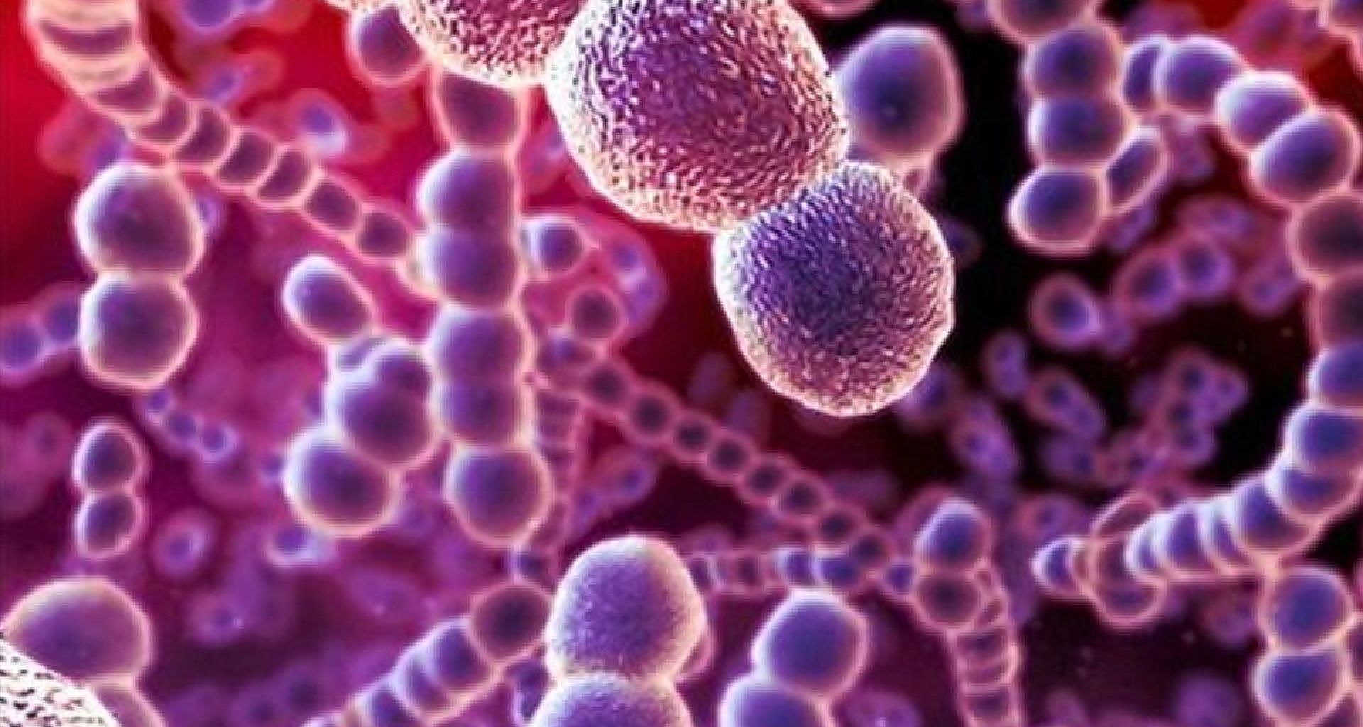 حدوث الطفرات الجينية والميكروبات الممرضة 2 حدوث الطفرات الجينية والميكروبات الممرضة