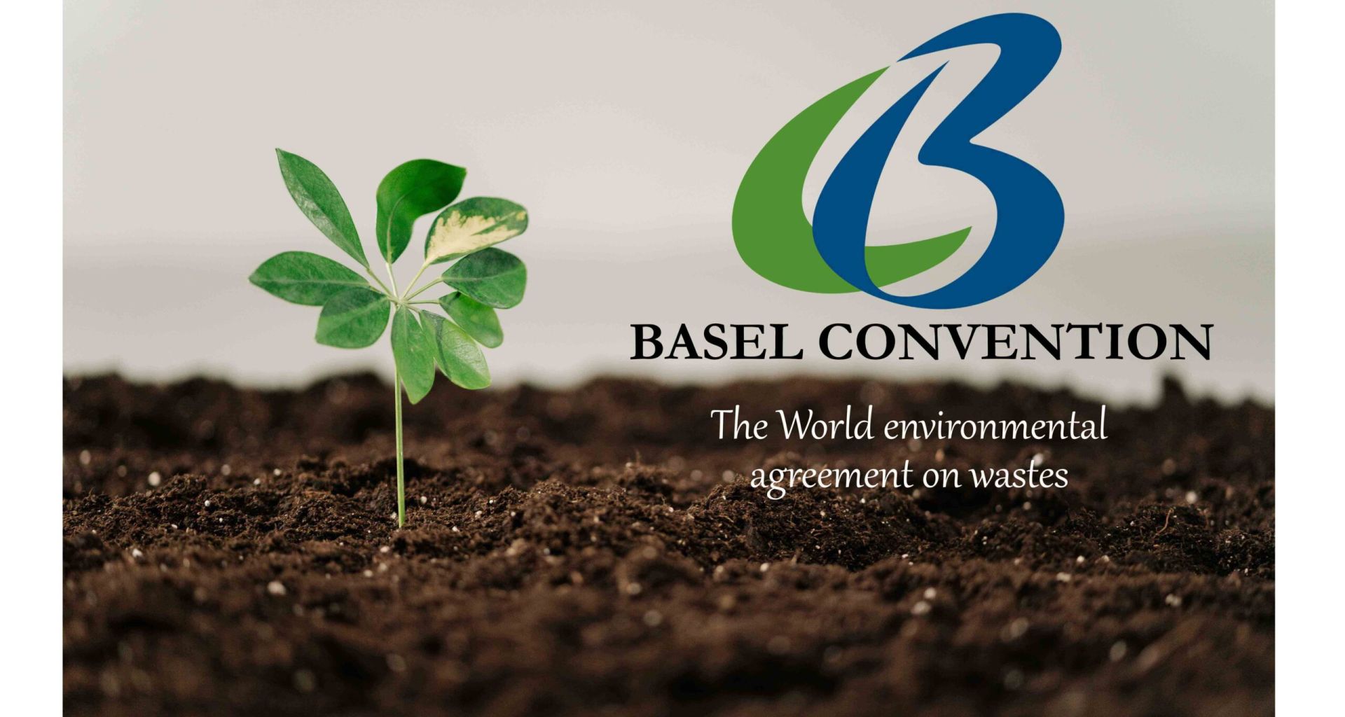 الالتزامات العامة لاتفاقية بازل بشأن التحكم في نقل النفايات الخطرة والتخلص منها عبر الحدود 1 الالتزامات العامة لاتفاقية بازل بشأن التحكم في نقل النفايات الخطرة والتخلص منها عبر الحدود