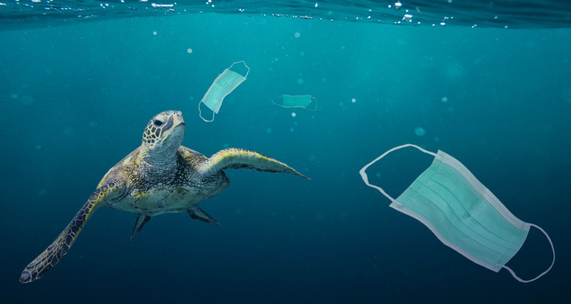 تزايد التلوث البلاستيكي في أعقاب انتشار فيروس كورونا المستجد (كوفيد -19): دعوة لصانعي السياسات التجارة العالمية للمساعدة في التقليل 1 تزايد التلوث البلاستيكي في أعقاب انتشار فيروس كورونا المستجد (كوفيد -19): دعوة لصانعي السياسات التجارة العالمية للمساعدة في التقليل