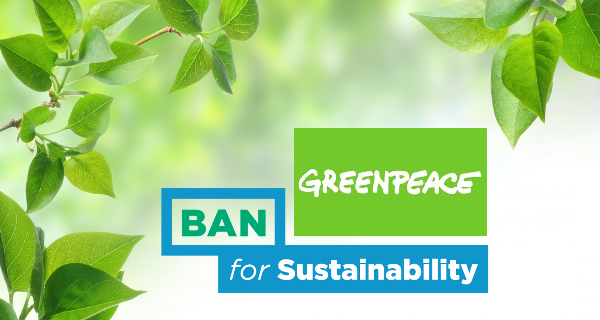 جهود منظمة السلام الأخضر وشبكة عمل بازل بكشف حالات التخلص غير القانوني من النفايات ودعم الجهود المحلية لمكافحتها. 1 جهود منظمة السلام الأخضر وشبكة عمل بازل بكشف حالات التخلص غير القانوني من النفايات ودعم الجهود المحلية لمكافحتها.