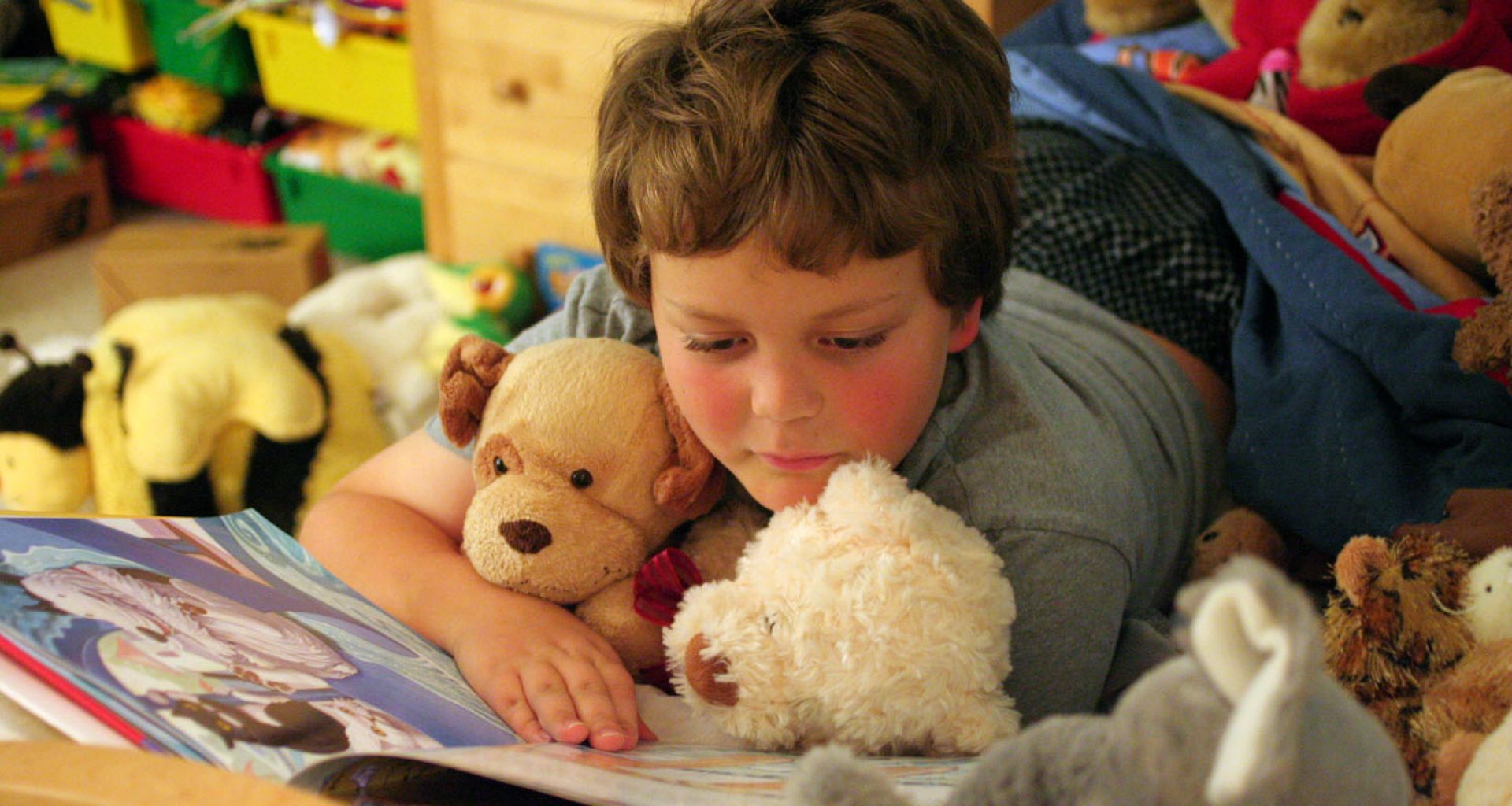 استعمال النفايات الطبية في حشو اللعب القماشية 1 استعمال النفايات الطبية في حشو اللعب القماشية