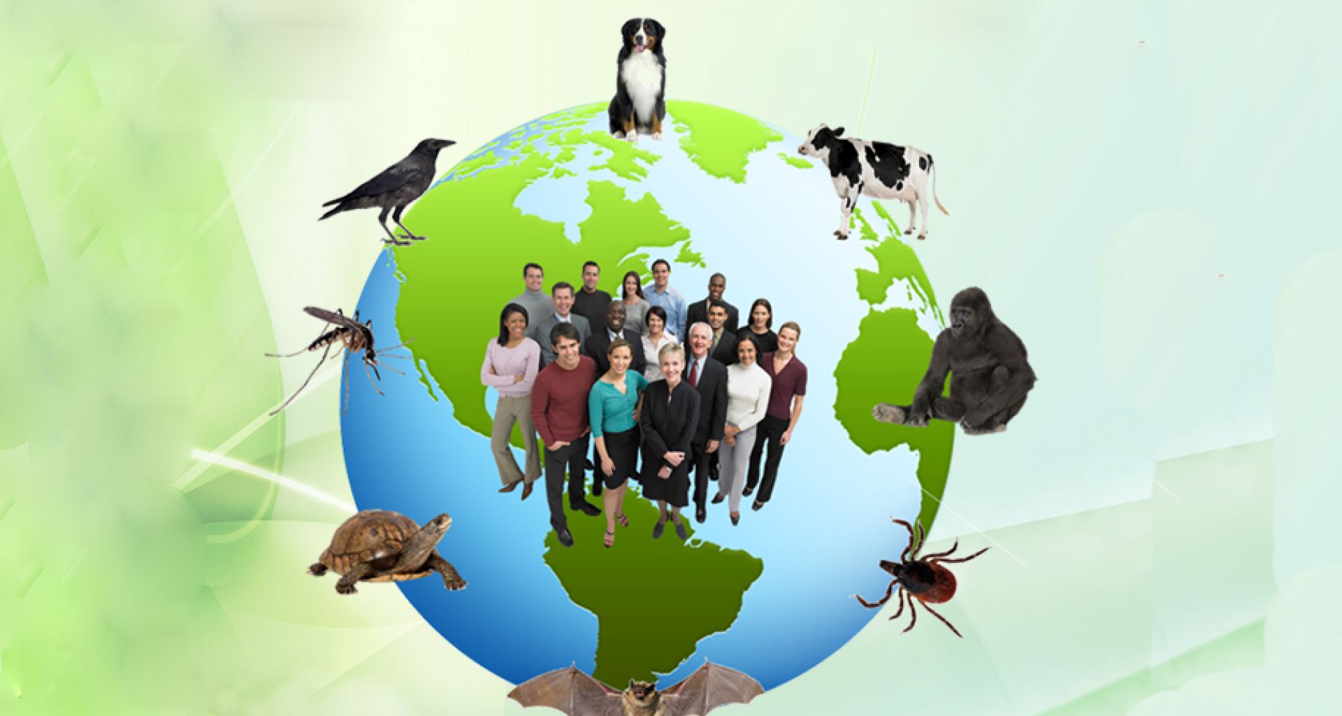 المخاطر البيولوجية المرتبطة بمخالطة الحيوانات 1 المخاطر البيولوجية المرتبطة بمخالطة الحيوانات