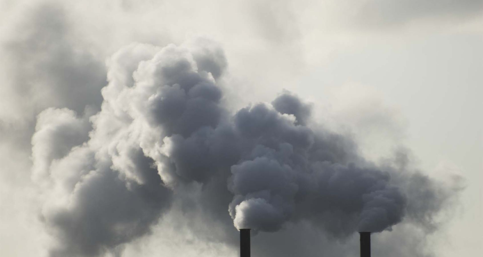 المحارق: الأنواع، المزايا والعيوب 1 المحارق: الأنواع، المزايا والعيوب