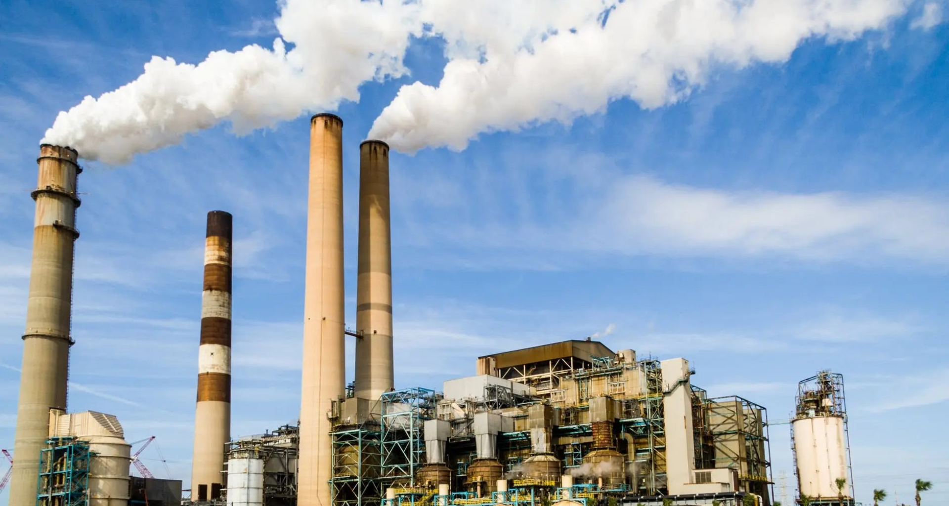 التوجيه الصادر من الأتحاد الأوروبي الذي ينظم عملية حرق النفايات البيولوجية ويضع معايير صارمة للانبعاثات لحماية البيئة. 1 التوجيه الصادر من الأتحاد الأوروبي الذي ينظم عملية حرق النفايات البيولوجية ويضع معايير صارمة للانبعاثات لحماية البيئة.