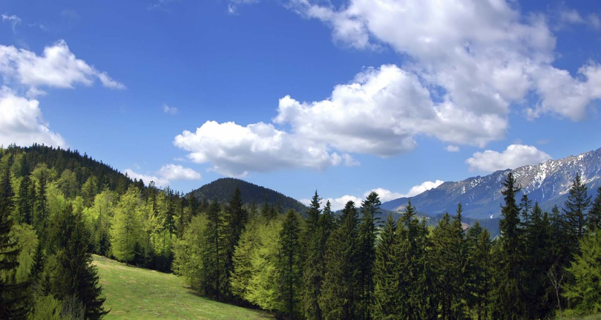 العنصرية البيئية والعدالة البيئية وحركة الإنصاف البيئي: الجزء الأول 8 العنصرية البيئية والعدالة البيئية وحركة الإنصاف البيئي: الجزء الأول