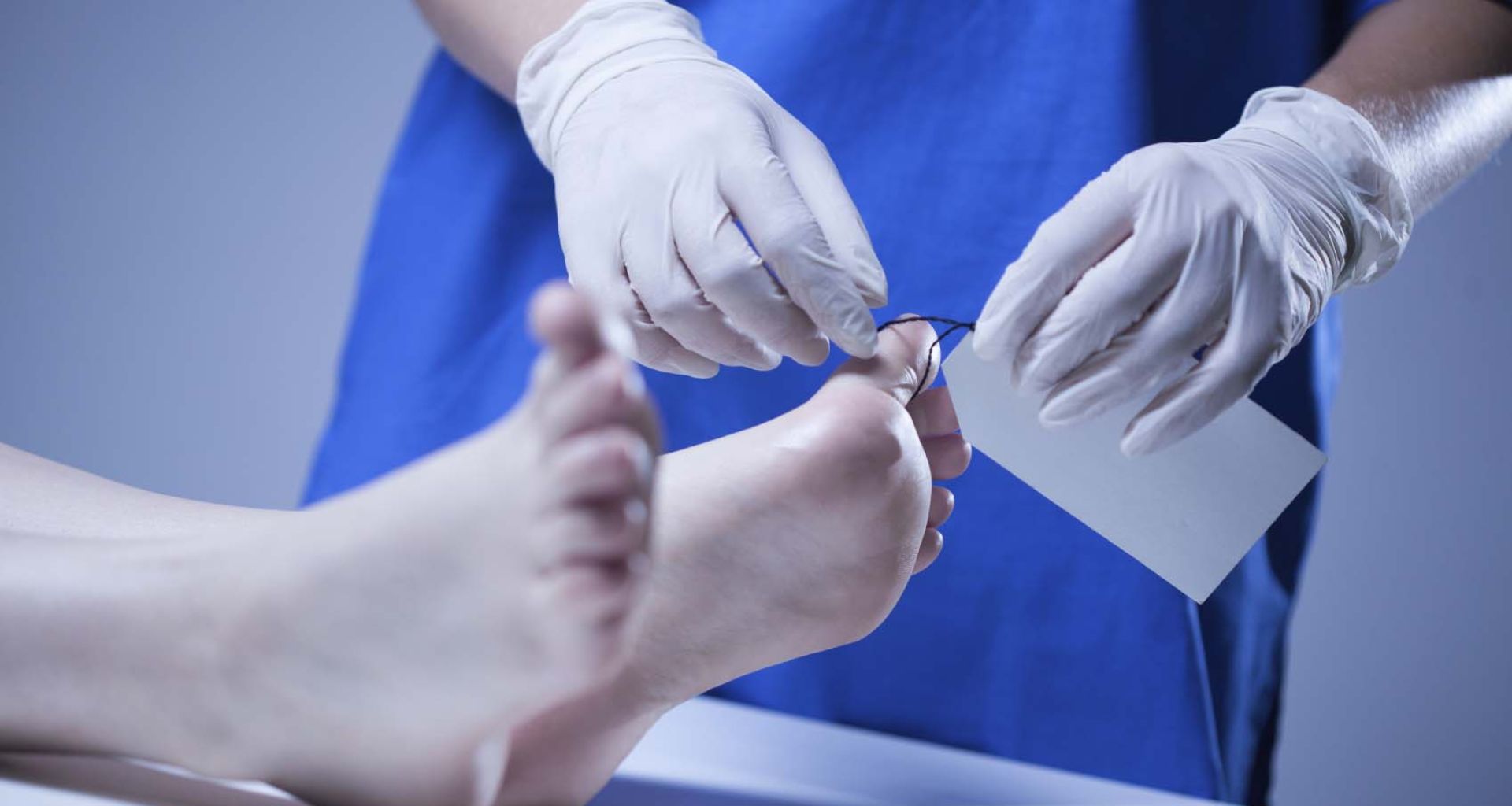 نفايات المشرحة 1 نفايات المشرحة