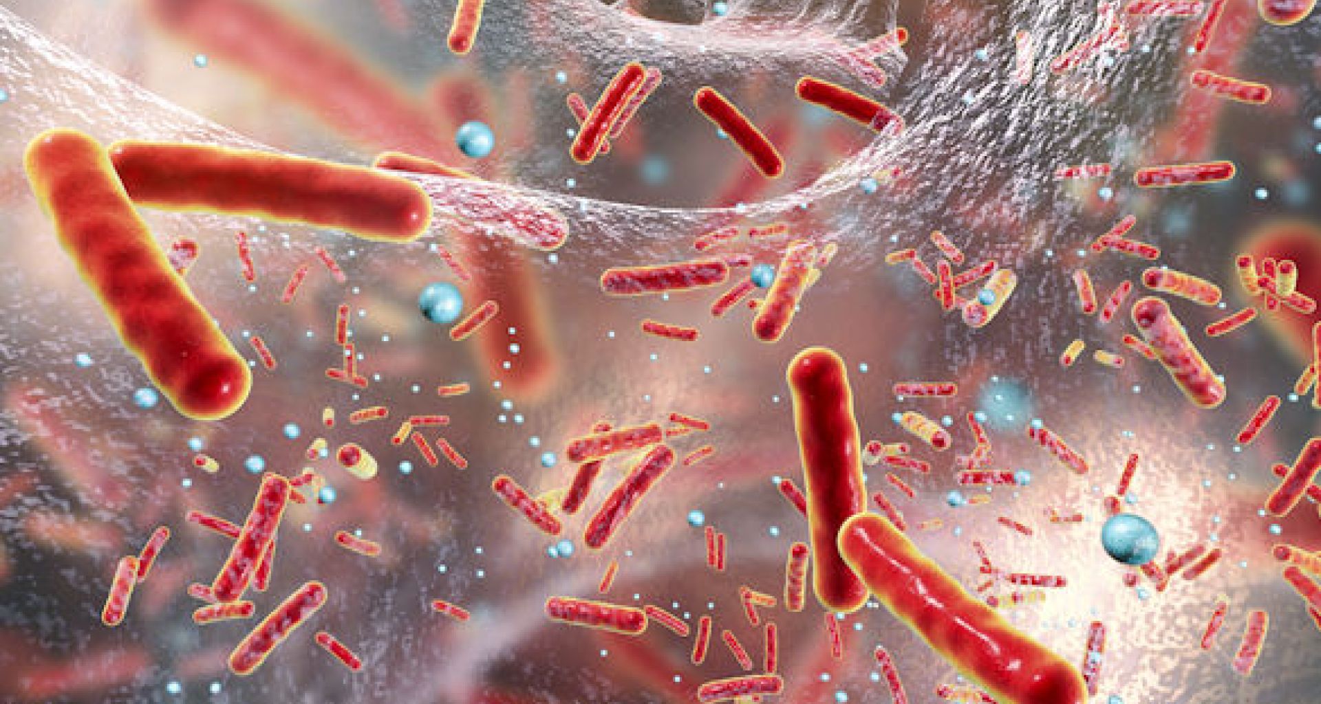 عدوى المستشفيات: العوامل المؤثرة في زيادة العدوى في المرافق الرعاية الصحية (الجزء الثاني) 1 عدوى المستشفيات: العوامل المؤثرة في زيادة العدوى في المرافق الرعاية الصحية (الجزء الثاني)