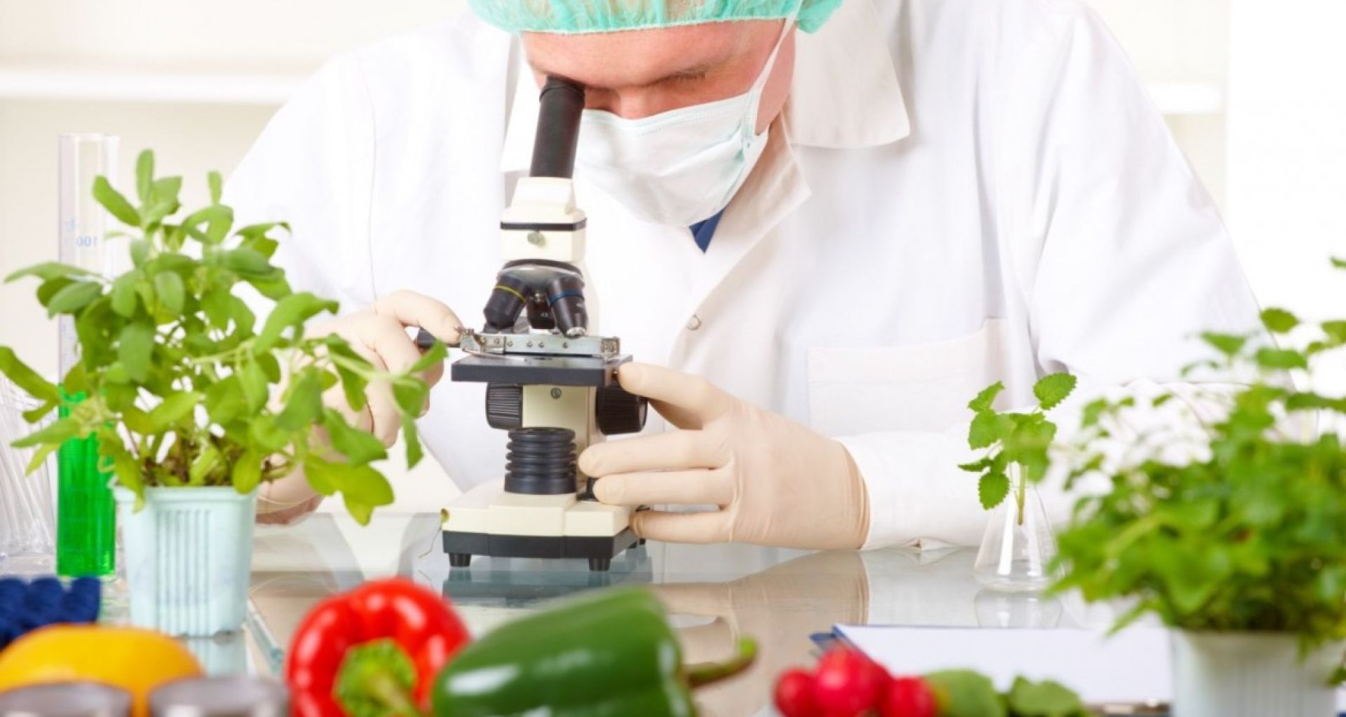 الحركة التجارية للمنتجات الغذائية بين دول العالم وانتشار الأمراض المعدية 4 الحركة التجارية للمنتجات الغذائية بين دول العالم وانتشار الأمراض المعدية