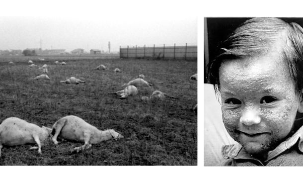 الكوارث البيئية: كارثة سيفيزو