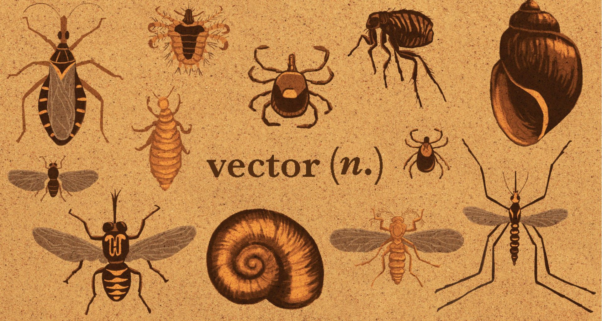علاقة النفايات الطبية بنواقل الأمراض 1 علاقة النفايات الطبية بنواقل الأمراض