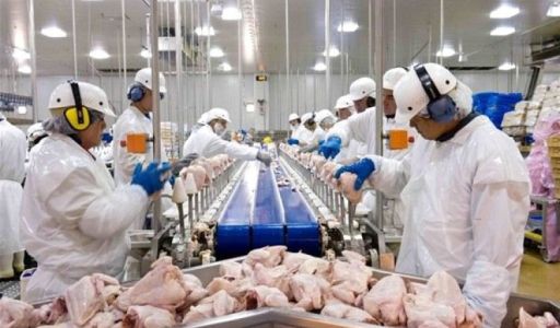 قواعد جديدة للتخلص من النفايات المنزلية في زمن جائحة فيروس الكورونا المستجد