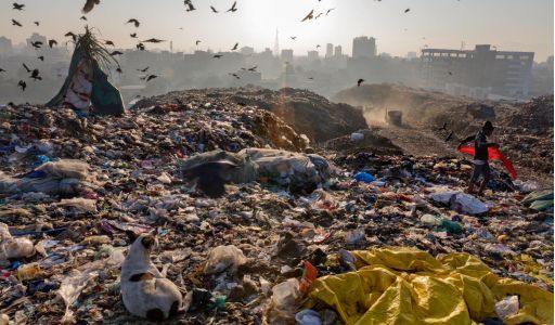 التشريع الأوروبي لحماية العمال من المخاطر المرتبطة بالعوامل البيولوجية في بيئة العمل