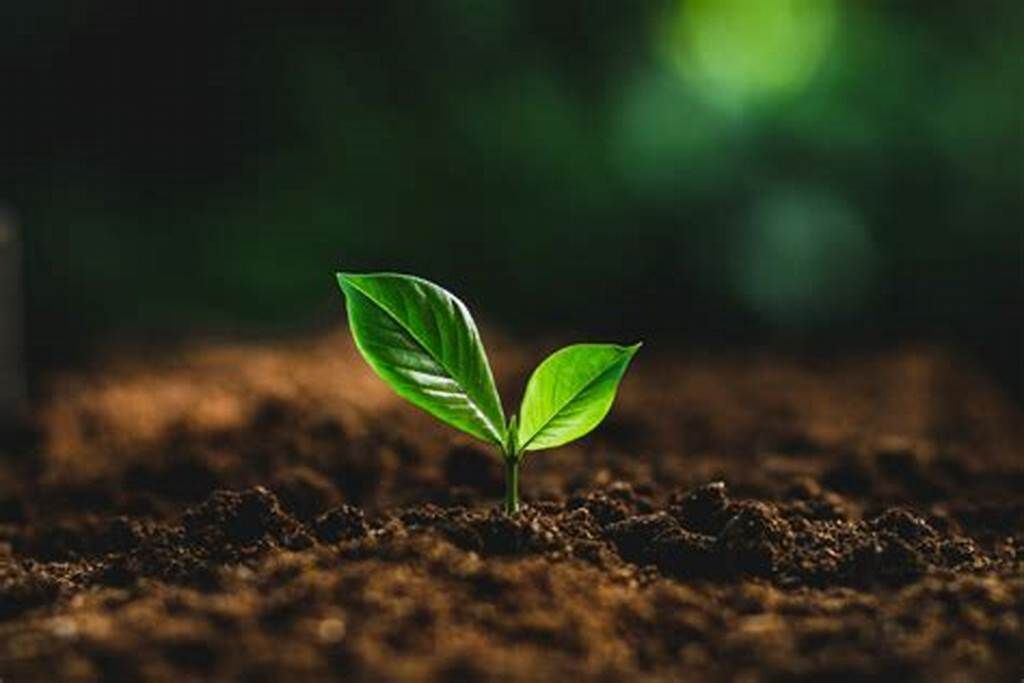 نظام “من المنتج إلى المستهلك”