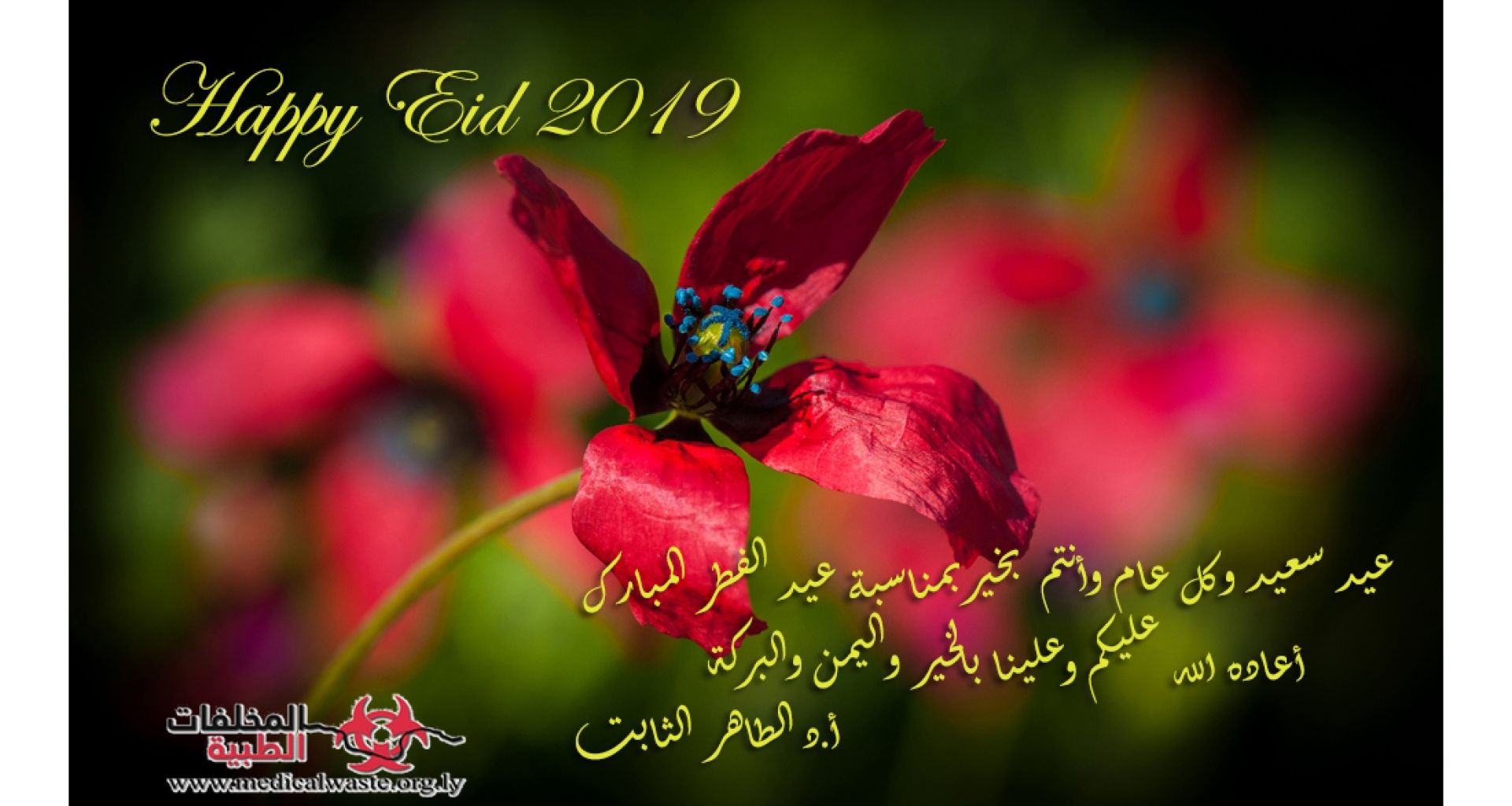 كل عام وأنتم بخير بمناسبة عيد الفطر المبارك