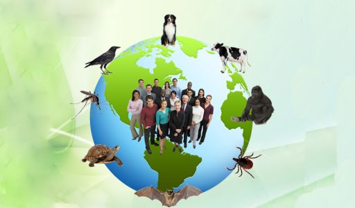 الآثار الصحية والبيئية لحرق النفايات الطبية