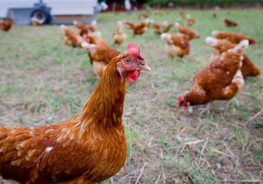 خطورة النفايات الطبية بالمقارنة بأنواع النفايات الأخرى
