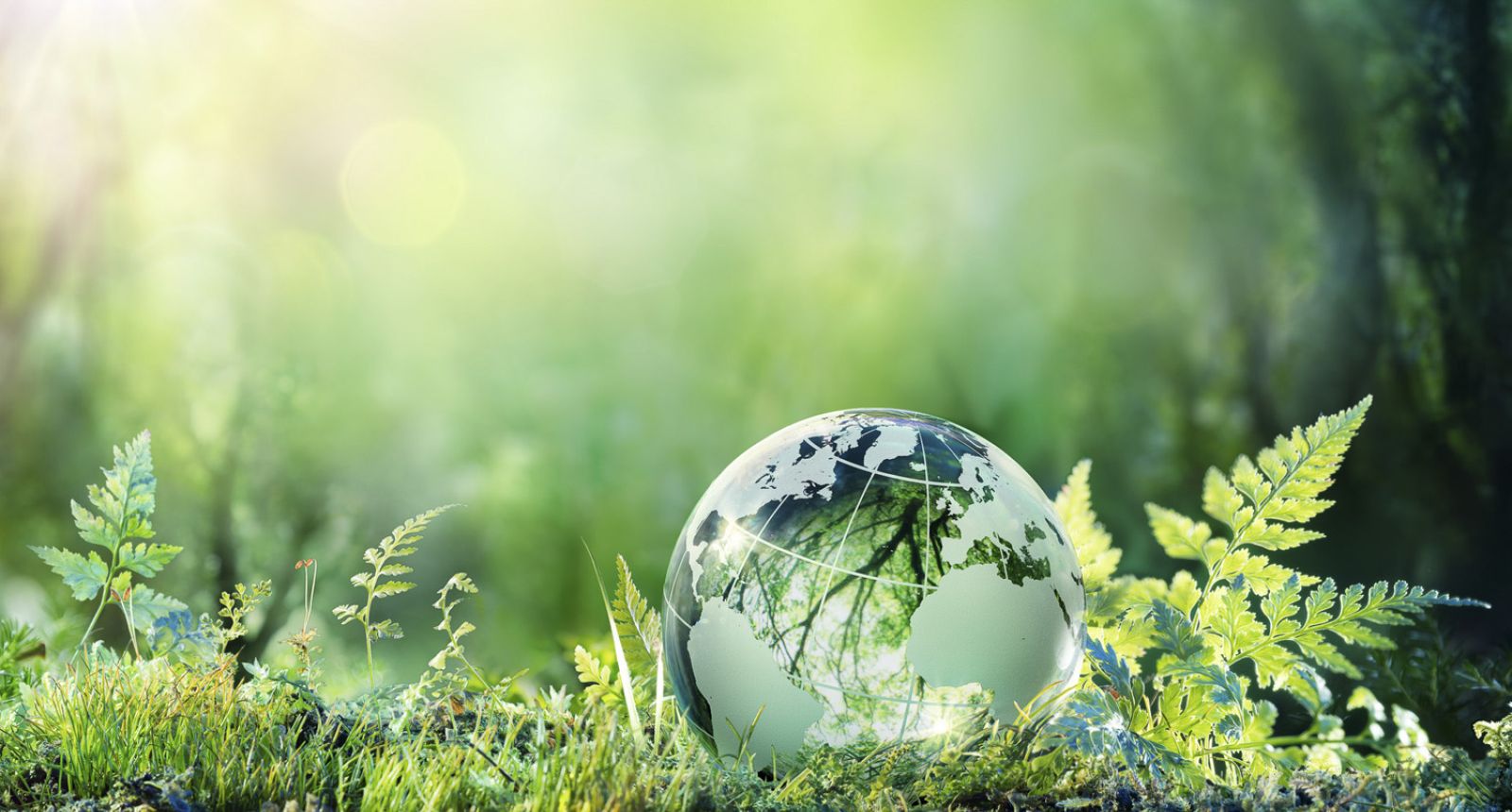 مبادرة المستشفيات الخضراء والصحية (Global Green and Healthy Hospitals – GGHH):