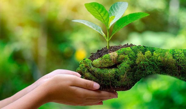 أشهر المنظمات العالمية التي أشتغلت في مجال إدارة النفايات