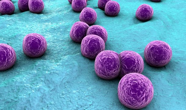 مخاطر وجود بكتيريا التهابات الجلد (Staphylococcus aureus) في نفايات الرعاية الصحية