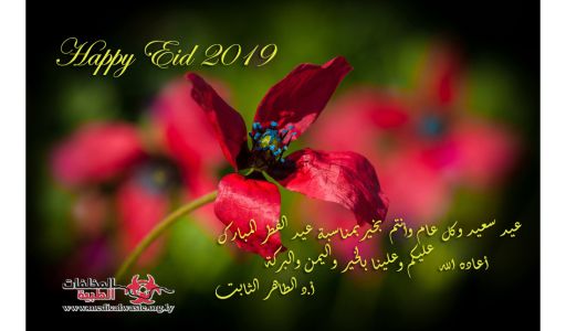 مراقبة وتقييم إدارة المخلفات الطبية